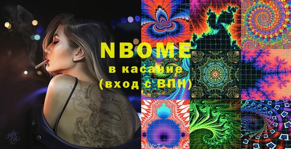 хмурый Сатка