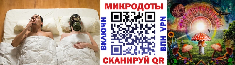 купить   Нижняя Тура  Галлюциногенные грибы Psilocybe 